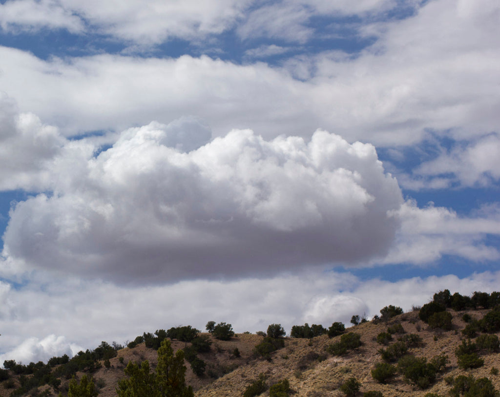 Art of Botanical Perfume One Day Workshop