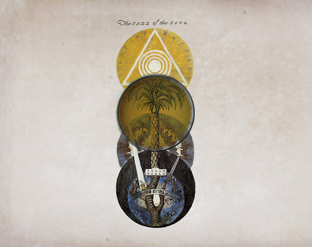 Mellifera Solid Perfume in Round Jar