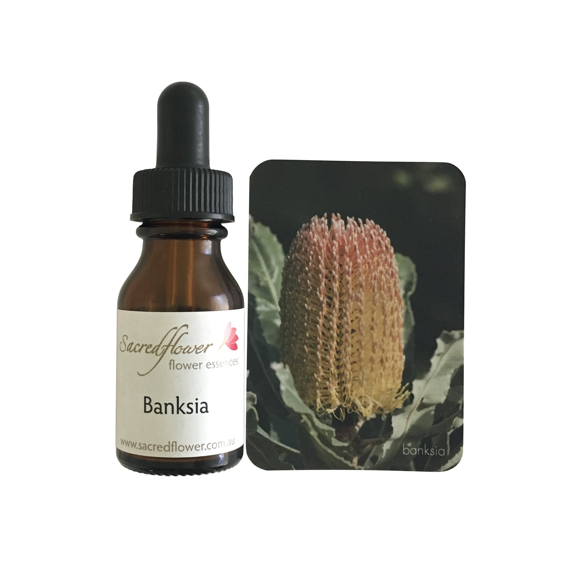 Banksia flower essence