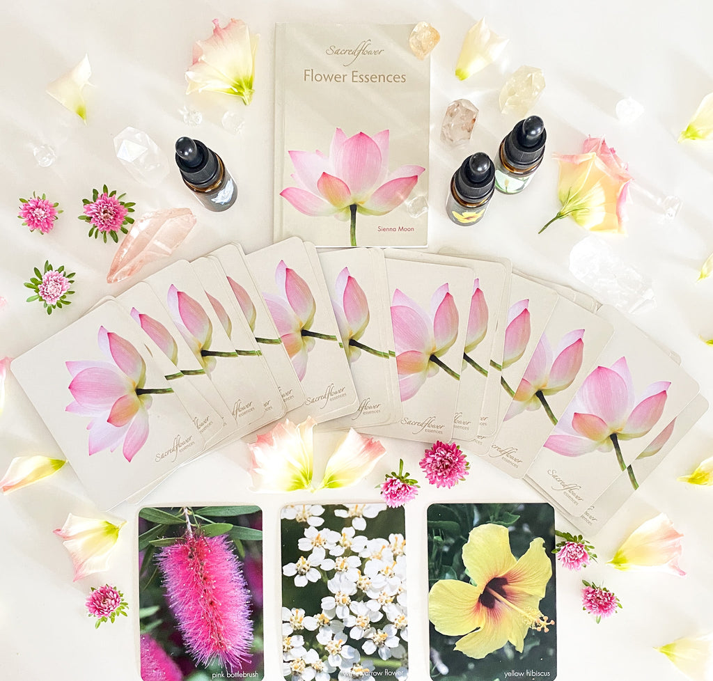 Flower reading + healing session. Distance healing.